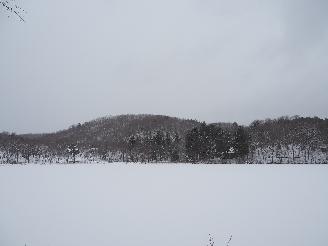 観音沼森林公園